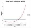 Energy cost and transition Distance.jpg