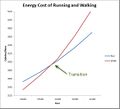 Energy cost and transition.jpg