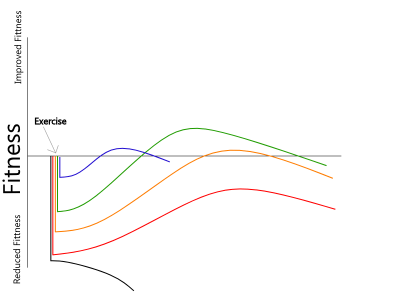 Supercompensation-Intensity-small.png