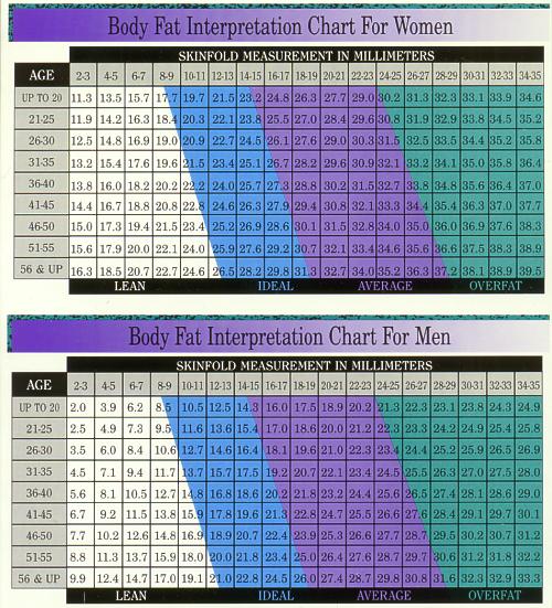 Body Fat Caliper Chart Mm