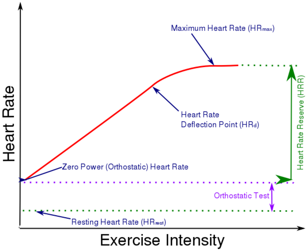 heart-rate-deflection-fellrnr-running-tips