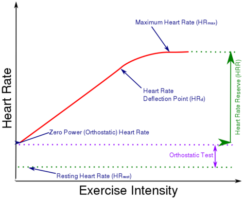 What Is Max Heart Rate Chart