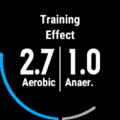 Fenix 5X Training Effect.png