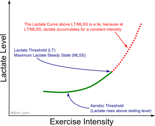 Lactate Threshold Fellrnr Com Running Tips