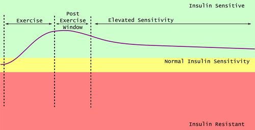 Nutrient timing after exercise